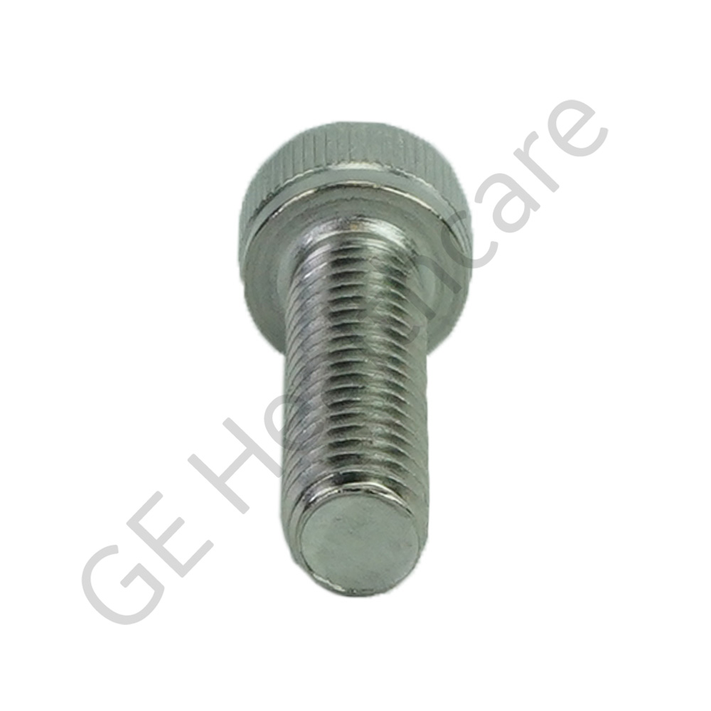 Screw M6 x 20 Socket Head Cap Stainless Steel Screw M6 x 20 Socket Head Cap Stainless Steel
