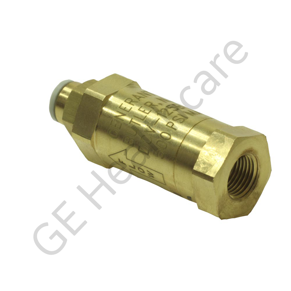 Check Valve with Filter and Straight Push Connect Fitting