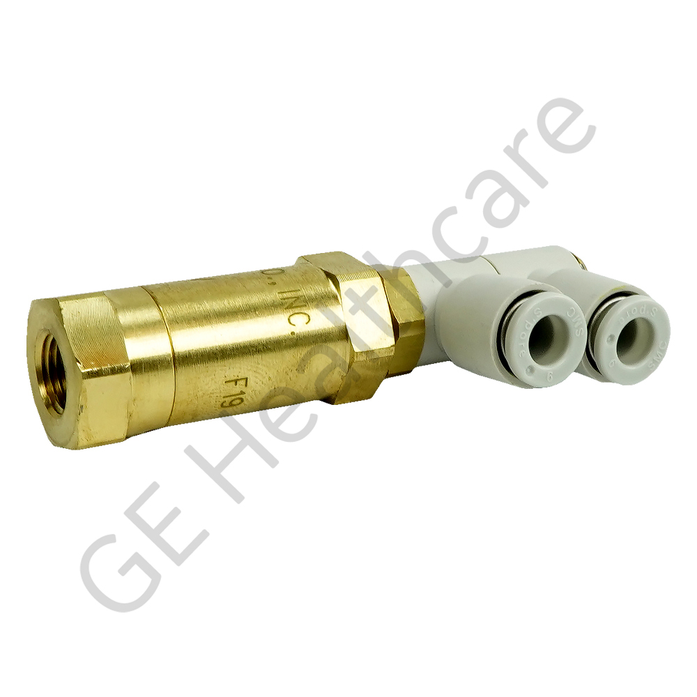 Check Valve with Filter and Elbow Push Connect Fittings