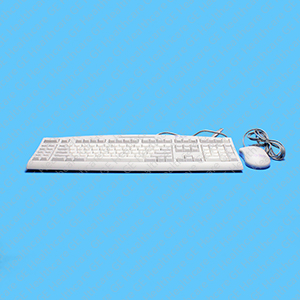US TYPE 6 KEYBOARD AND MOUSE 2404717-H US TYPE 6 KEYBOARD AND MOUSE 2404717-H