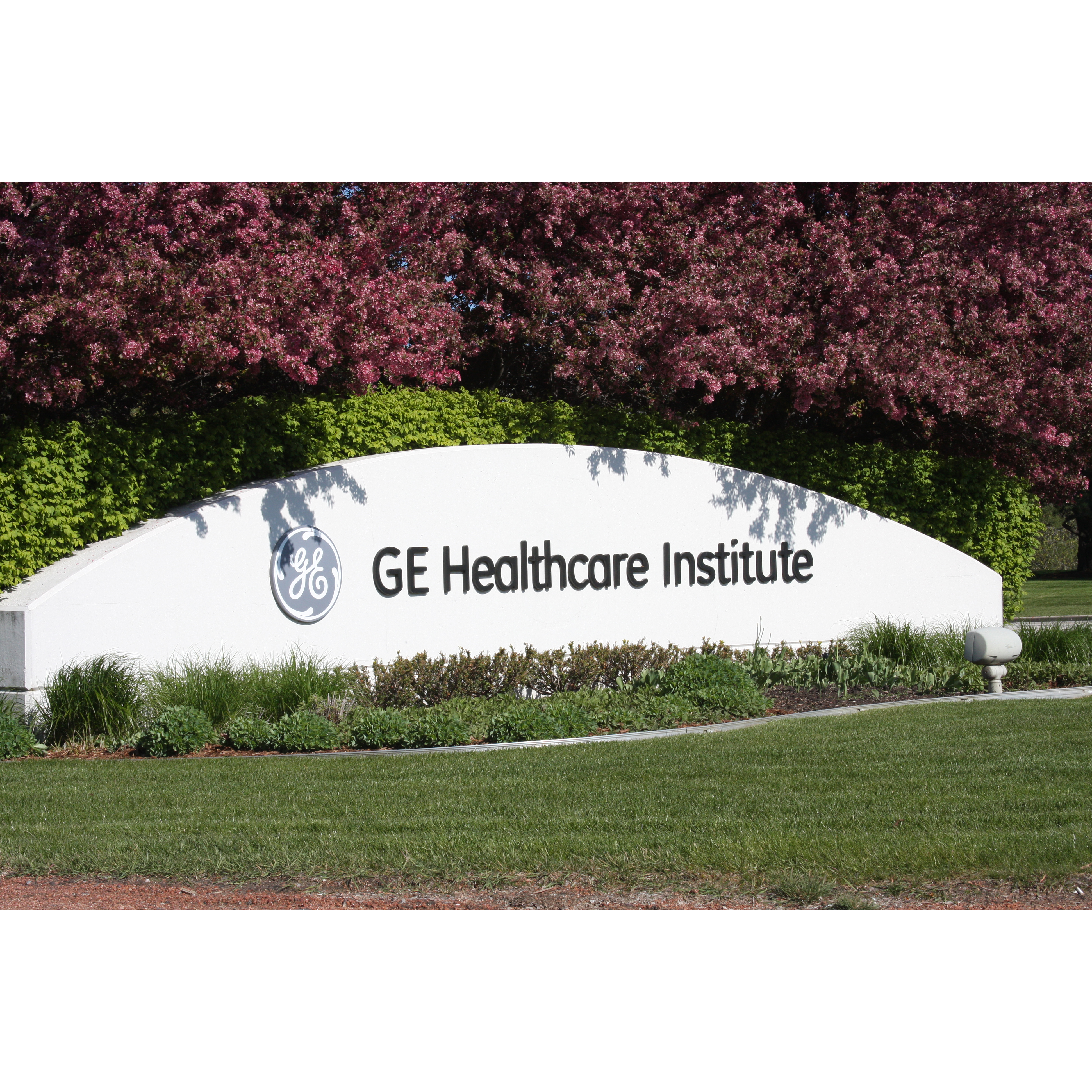 Aestiva/7900/MRI Technical Training-In Person (GE HealthCare Institute) Aestiva/7900/MRI Technical Training-In Person (GE HealthCare Institute)